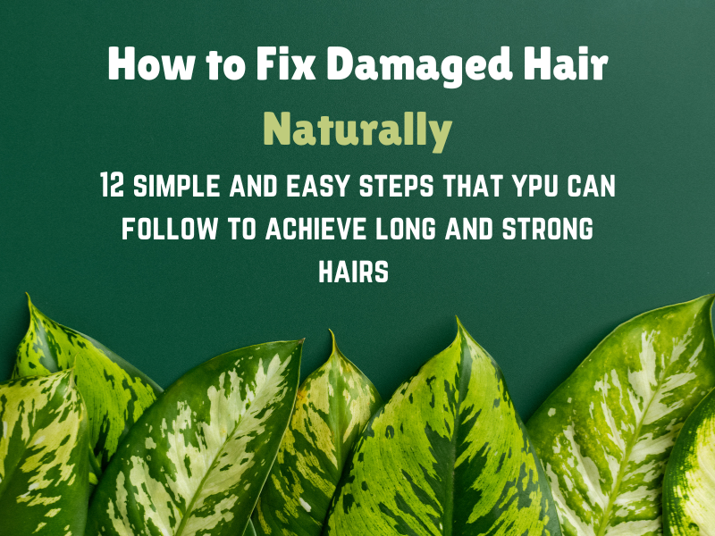 How to Fix Damaged Hair Naturally