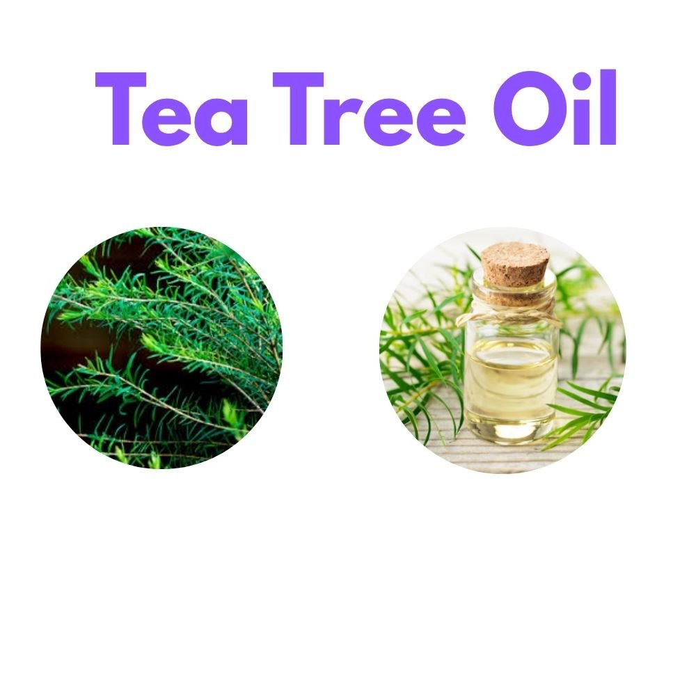 8 best face oils for oily skin