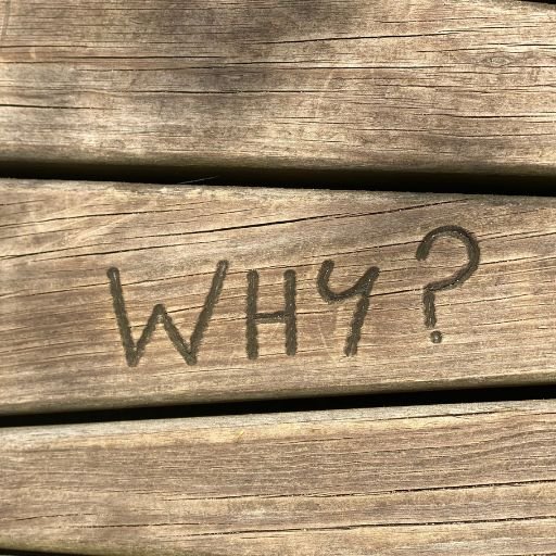 Skincare Ingredient Compatibility Checker