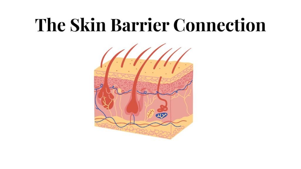 The Skin Barrier Connection