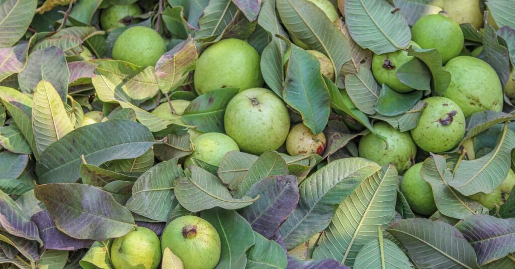 17 best fruits for men skin