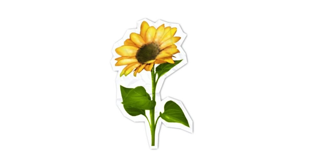 Benefits of Sunflower Seeds